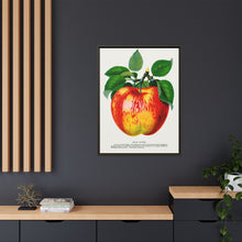 Wolf River Apple Lithograph | Vintage Botanical Wall Art Print