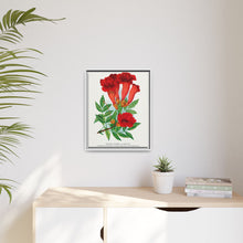 Trumpet flower lithograph. Digitally enhanced from our own original 1900 edition plates of Botanical Specimen published by Rochester Lithographing