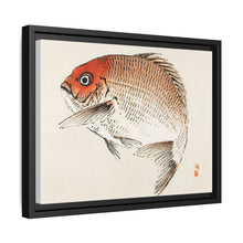 Tai (Red Seabream) fish by Kōno Bairei