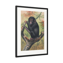 The Chimpanzee from Zoological sketches (1861-1867) by Joseph Wolf and Philip Lutley Sclater.