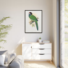 Lydon's Yellow-Naped Parrakeet | Vintage Bird Wall Art Print