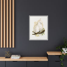 Goffin's Cockatoo (Cacatua goffiniana) colored wood-engraved plate by Alexander Francis Lydon.