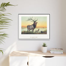 The Wapiti from Zoological sketches (1861-1867) by Joseph Wolf and Philip Lutley Sclater