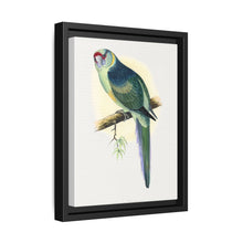 Barnard's Parrakeet (Barnardius barnardi) colored wood-engraved plate by Alexander Francis Lydon - NOMADEN ART GALLERY