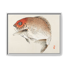 Tai (Red Seabream) fish by Kōno Bairei - NOMADEN ART GALLERY