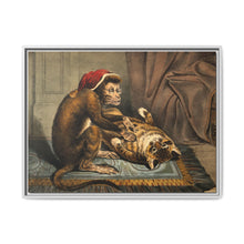 A monkey physician examining a cat patient for fleas. Coloured lithograph - NOMADEN ART GALLERY