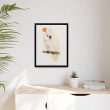 Great Salmon-Crested Cockatoo (CACATUA MOLUCCENSIS) colored wood-engraved plate by Alexander Francis Lydon.