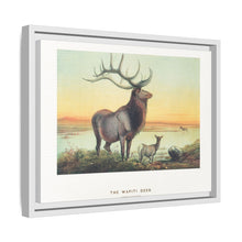The Wapiti from Zoological sketches (1861-1867) by Joseph Wolf and Philip Lutley Sclater