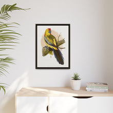 Lydon's Yellow-Rumped Parrakeet | Vintage Bird Wall Art Print