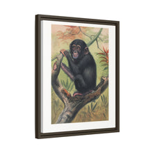 The Chimpanzee from Zoological sketches (1861-1867) by Joseph Wolf and Philip Lutley Sclater.