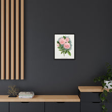 Pink rose, Clothilde Soupert lithograph. Digitally enhanced from our own original 1900 edition plates of Botanical Specimen published by Rochester Lithographing