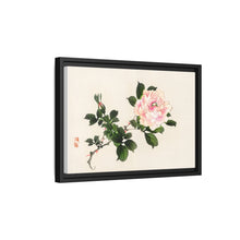 Pink rose by Kōno Bairei (1844-1895)