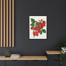 Shaffer's Colossal Raspberry Lithograph (1900)