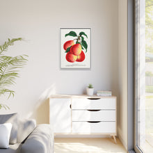Vermont Beauty pear lithograph. Digitally enhanced from our own original 1900 edition plates of Botanical Specimen published by Rochester Lithographing