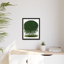 Kilmarnock Weeping Willow tree lithograph. Digitally enhanced from our own original 1900 edition plates of Botanical Specimen published by Rochester Lithographing