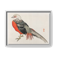 Japanese pheasant by Kōno Bairei (1844-1895) - NOMADEN ART GALLERY