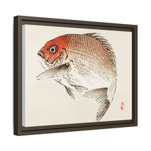 Tai (Red Seabream) fish by Kōno Bairei