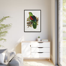 Red-winged parakeet (Aprosmictus erythropterus) colored wood-engraved plate by Alexander Francis Lydon