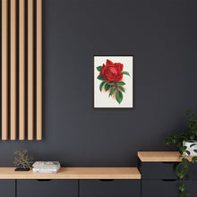 Red rose, Alfred Colomb lithograph. Digitally enhanced from our own original 1900 edition plates of Botanical Specimen published by Rochester Lithographing