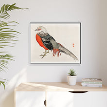 Japanese pheasant by Kōno Bairei (1844-1895)