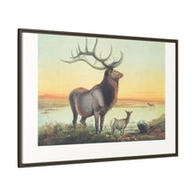 The Wapiti from Zoological sketches (1861-1867) by Joseph Wolf and Philip Lutley Sclater
