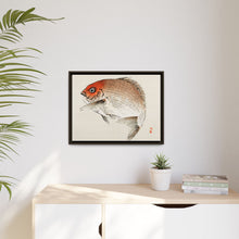 Tai (Red Seabream) fish by Kōno Bairei