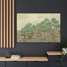Vincent van Gogh's The Olive Orchard (1889) - NOMADEN ART GALLERY