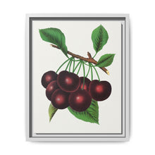 Black Tartarian cherry lithograph. Digitally enhanced from our own original 1900 edition plates of Botanical Specimen published by Rochester Lithographing - NOMADEN ART GALLERY