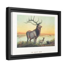 The Wapiti from Zoological sketches (1861-1867) by Joseph Wolf and Philip Lutley Sclater