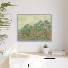 Vincent van Gogh's The Olive Orchard (1889) - NOMADEN ART GALLERY