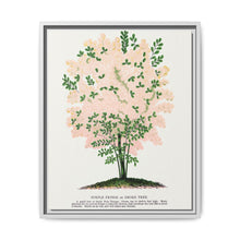 Purple Fringe tree lithograph. Digitally enhanced from our own original 1900 edition plates of Botanical Specimen published by Rochester Lithographing - NOMADEN ART GALLERY