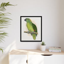 Lydon's Yellow-Naped Amazon | Vintage Parrot Wall Art Print