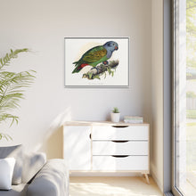 Red-Vented Parrot (Amazona martinicana) colored wood-engraved plate by Alexander Francis Lydon