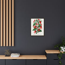 Prunus Triloba flower lithograph. Digitally enhanced from our own original 1900 edition plates of Botanical Specimen published by Rochester Lithographing