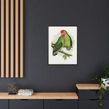 Rosy-Faced Love-Bird (Agapornis roseicollis) colored wood-engraved plate by Alexander Francis Lydon.
