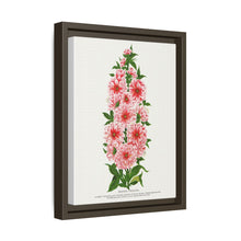 Prunus Triloba flower lithograph. Digitally enhanced from our own original 1900 edition plates of Botanical Specimen published by Rochester Lithographing