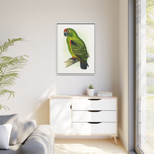 Placa grabada en madera de color loro de Jardine (Poicephalus gulielmi gulielmi) de Alexander Francis Lydon. 