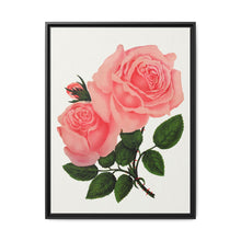 Pink Rose, La France Lithograph (1900) - NOMADEN ART GALLERY