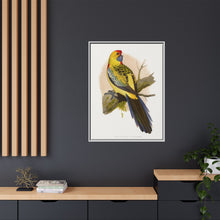 Lydon's Yellow-Rumped Parrakeet | Vintage Bird Wall Art Print