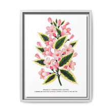 Pink flowers, Weigela lithograph (1900) - NOMADEN ART GALLERY