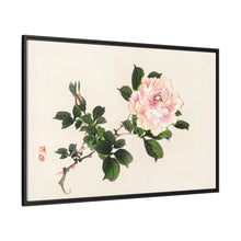 Pink rose by Kōno Bairei (1844-1895)