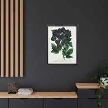 Wachusett Blackberry Lithograph | Vintage Botanical Wall Art