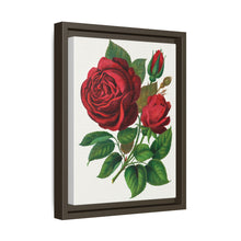 Red Rose, Prince Camille De Rohan Lithograph