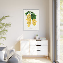 White Grape Lithograph | Vintage Botanical Wall Art Print