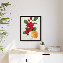 Japan Quince tree lithograph. Digitally enhanced from our own original 1900 edition plates of Botanical Specimen published by Rochester Lithographing