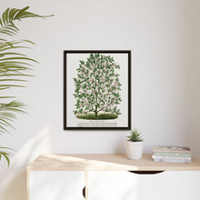Hardy Magnolia tree lithograph. Digitally enhanced from our own original 1900 edition plates of Botanical Specimen published by Rochester Lithographing