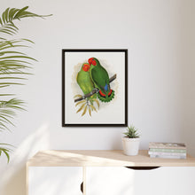 Lydon's West African Love-Bird | Vintage Avian Wall Art Print