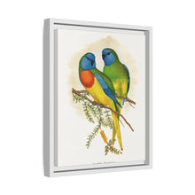 Prachtsittich (Neophema splendida) farbige Holzstichplatte von Alexander Francis Lydon