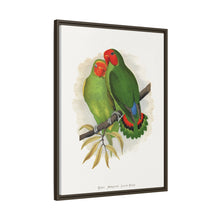 Lydon's West African Love-Bird | Vintage Avian Wall Art Print