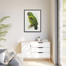 Placa grabada en madera de color loro de Jardine (Poicephalus gulielmi gulielmi) de Alexander Francis Lydon. 